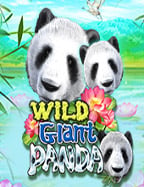 ฝาก 5 บาท รับ 55 สนุกกับเกมสุดคุ้มค่าจาก Pragmatic Play